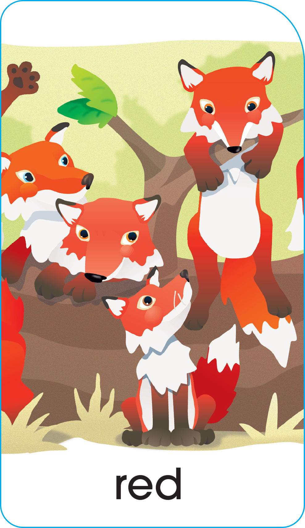 School Zone Numbers, Colors & Shapes Puzzle Cards-076645050281-LR-142354-6-LR eShop