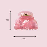scünci Acrylic Mini Clips - Assorted, 3 count-043194254248-LR-365114-4-LR eShop