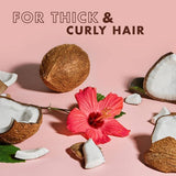 Shea Moisture Coconut & Hibiscus Curl & Shine Shampoo, 3.2 oz-764302290711-LR-355233-6-LR eShop