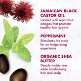 SheaMoisture Jamaican Black Castor Oil Strengthen & Restore Hair Mask-764302215554-LR-355256-7-LR eShop