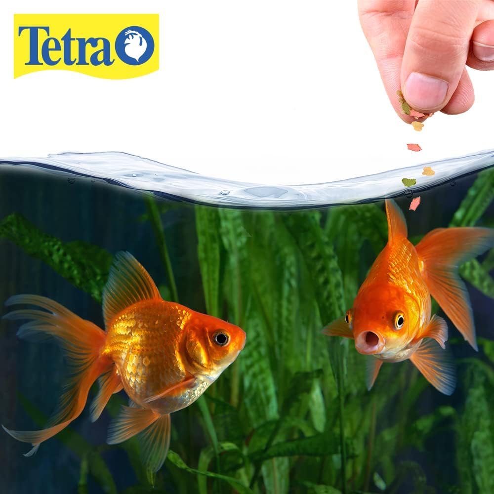 Tetra Goldfish Flakes, 1 oz-046798771265-LR-190442-8-LR eShop