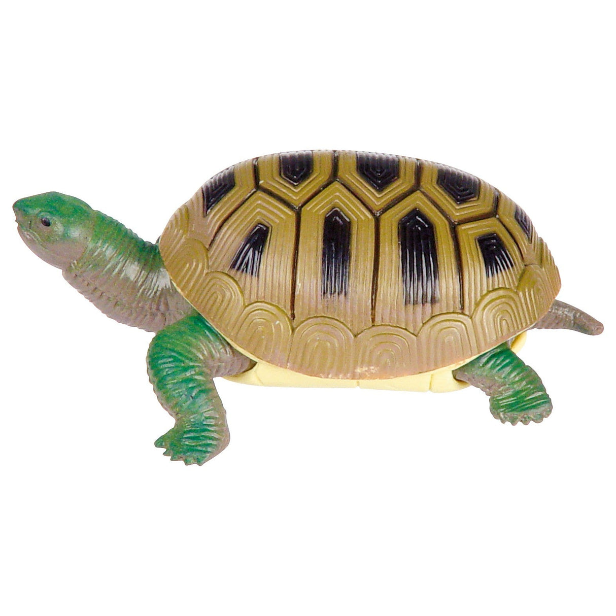 Toysmith Turtle Squishimals, Assorted-085761017535-LR-343694-5-LR eShop