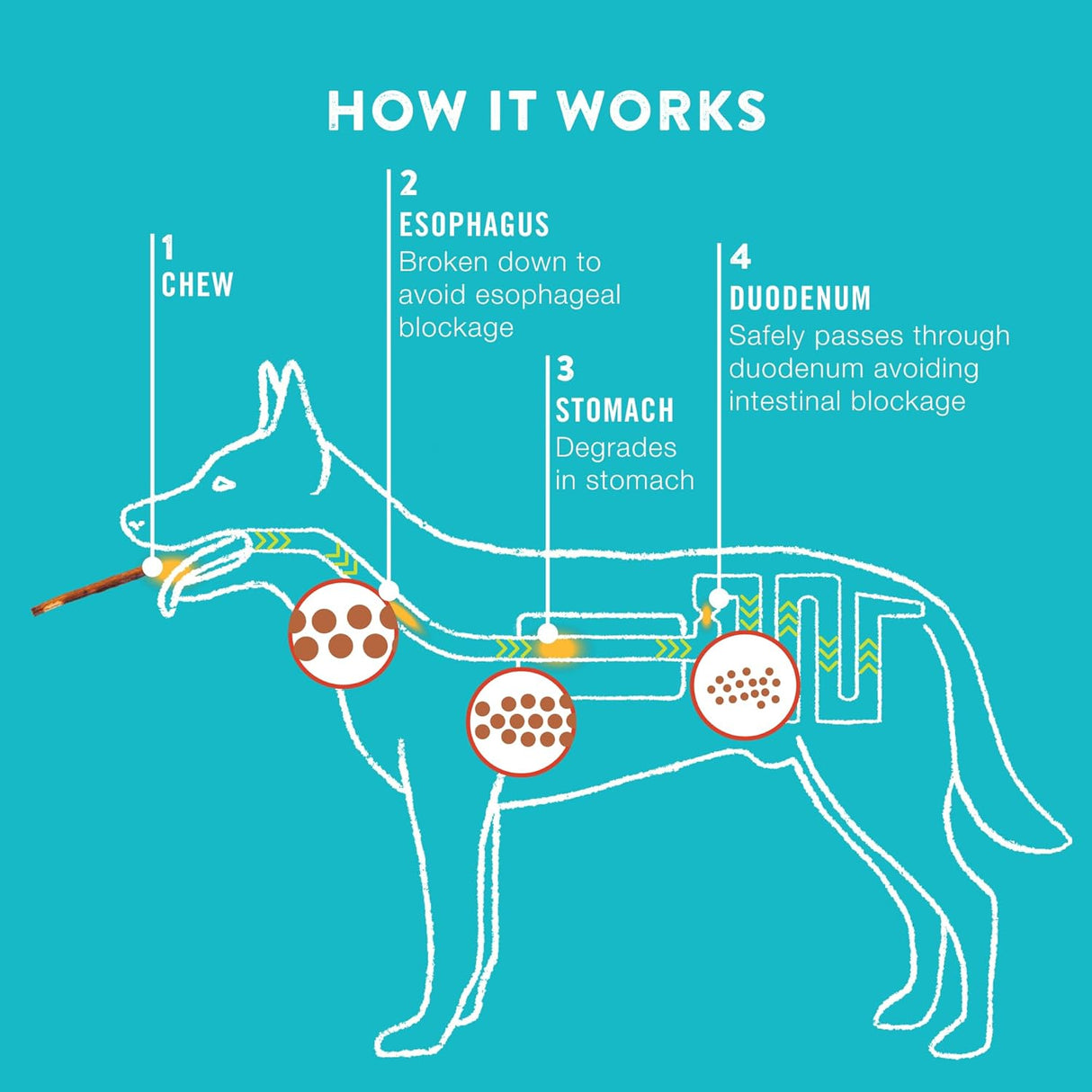 TruRanch 5" Rawhide Alternative Collagen Sticks for Dogs - Made with Real Chicken, 15 Count-810022720943-LR-348972-6-LR eShop