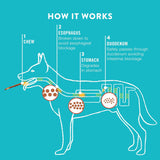 TruRanch 5" Rawhide Alternative Collagen Sticks for Dogs - Made with Real Chicken, 15 Count-810022720943-LR-348972-6-LR eShop