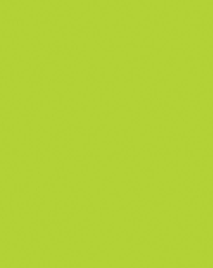 UCreate Neon Coated Poster Board, 1 count - Lime, 28" x 22"-045173541110-LR-182142-1-LR eShop