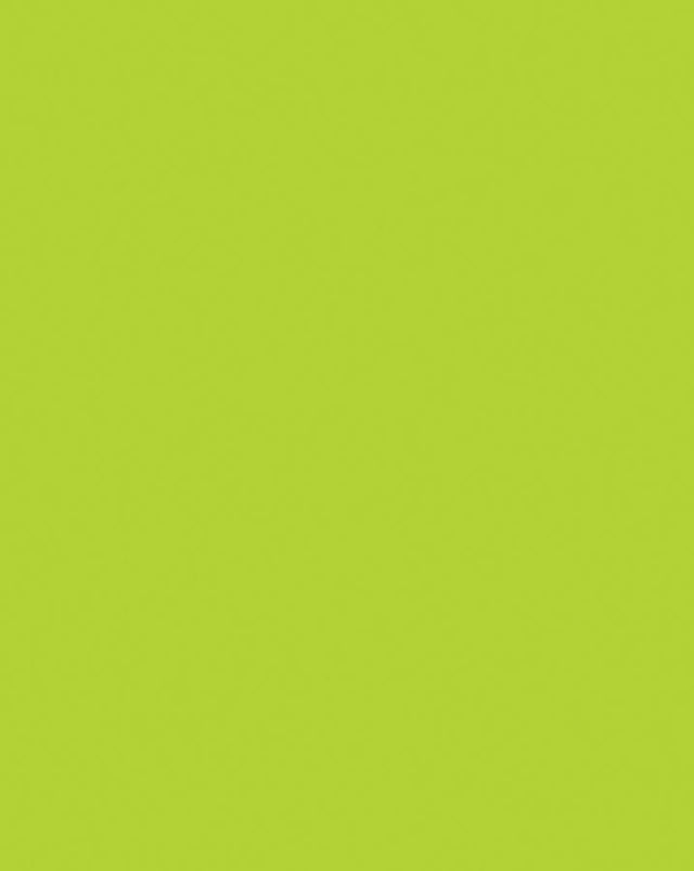 UCreate Neon Coated Poster Board, 1 count - Lime, 28" x 22"-045173541110-LR-182142-1-LR eShop