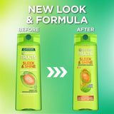 Garnier Fructis Sleek & Shine Shampoo, Frizzy, Dry, Unmanageable Hair, 12.5 fl. oz.