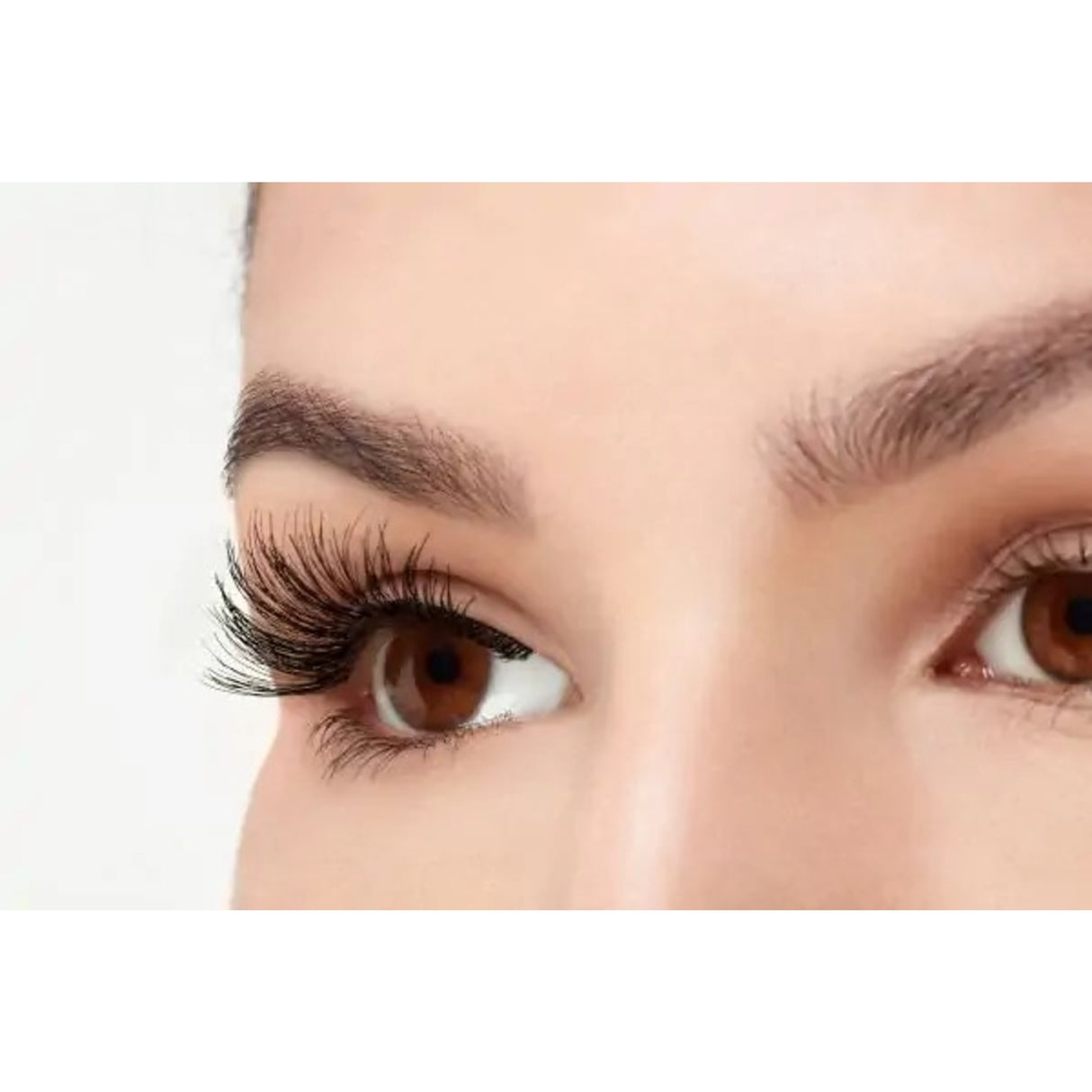 Ardell Lashes Wispies #113 5 Pack