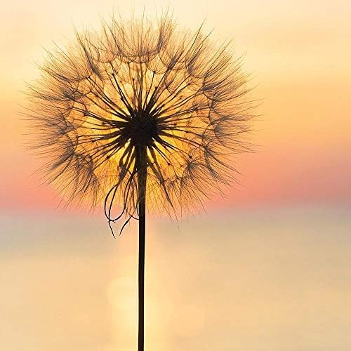 Village Candle Large Apothecary Jar Candle - Empower-602406647126-LR-339968-2-LR eShop