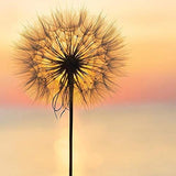 Village Candle Large Apothecary Jar Candle - Empower-602406647126-LR-339968-2-LR eShop