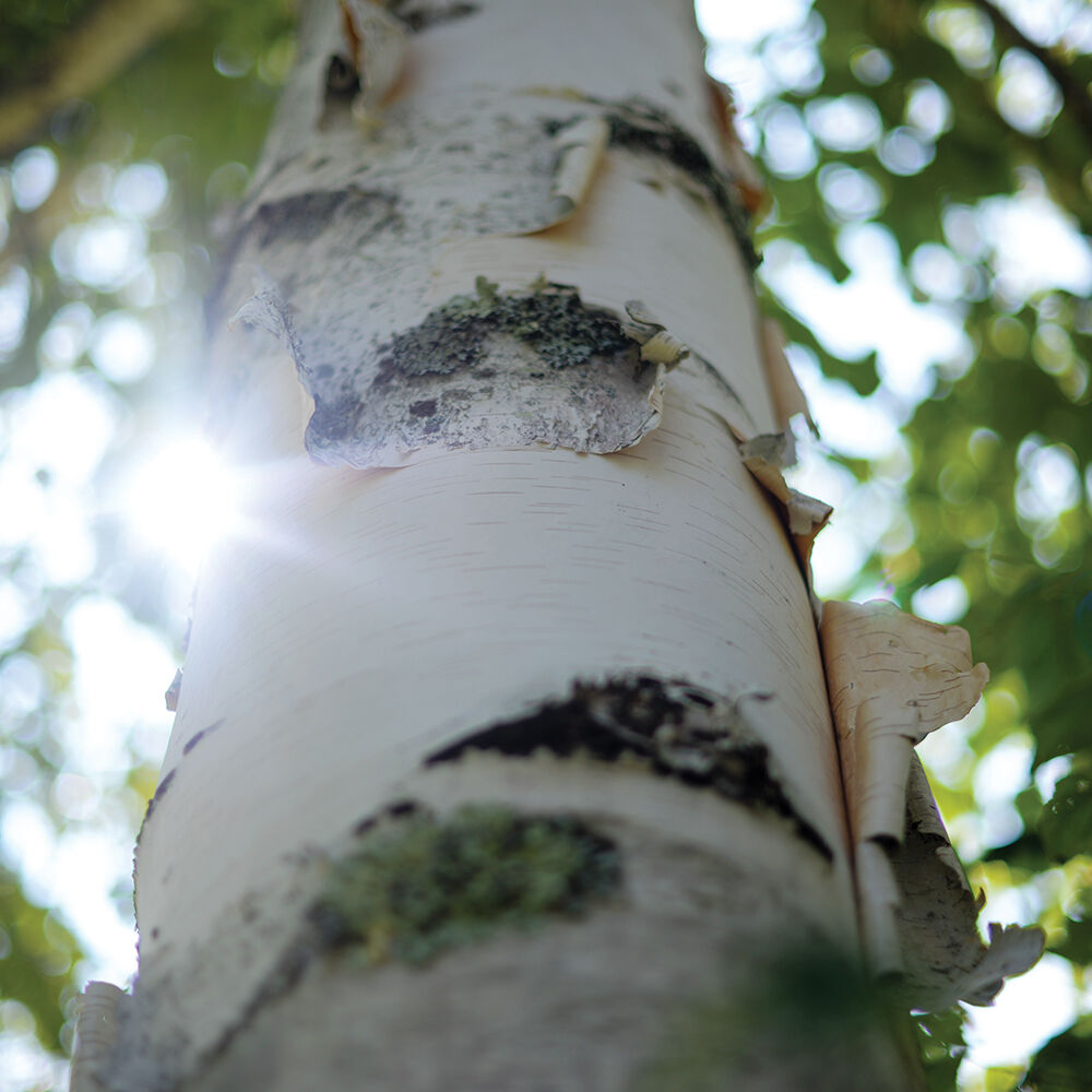 Village Candle Large Apothecary Jar Candle - Inner Peace-602406507758-LR-332805-2-LR eShop