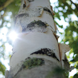 Village Candle Large Apothecary Jar Candle - Inner Peace-602406507758-LR-332805-2-LR eShop