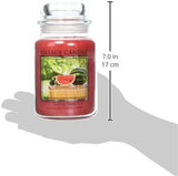 Village Candle Large Apothecary Jar Candle - Summer Slices-602406801474-LR-199904-4-LR eShop