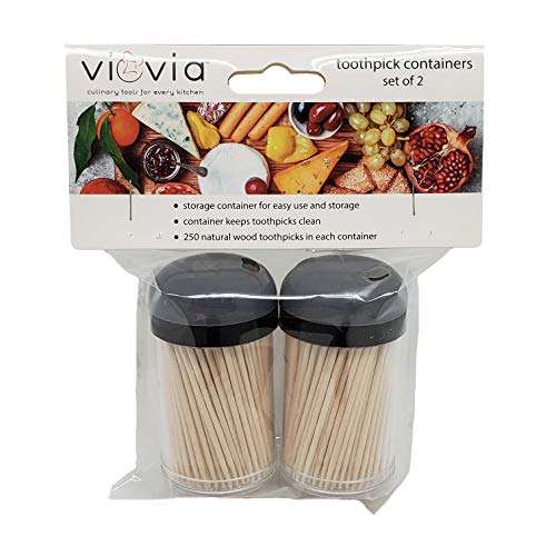VIOVIA Toothpick Container Set of 2-819507012771-LR-344966-1-LR eShop
