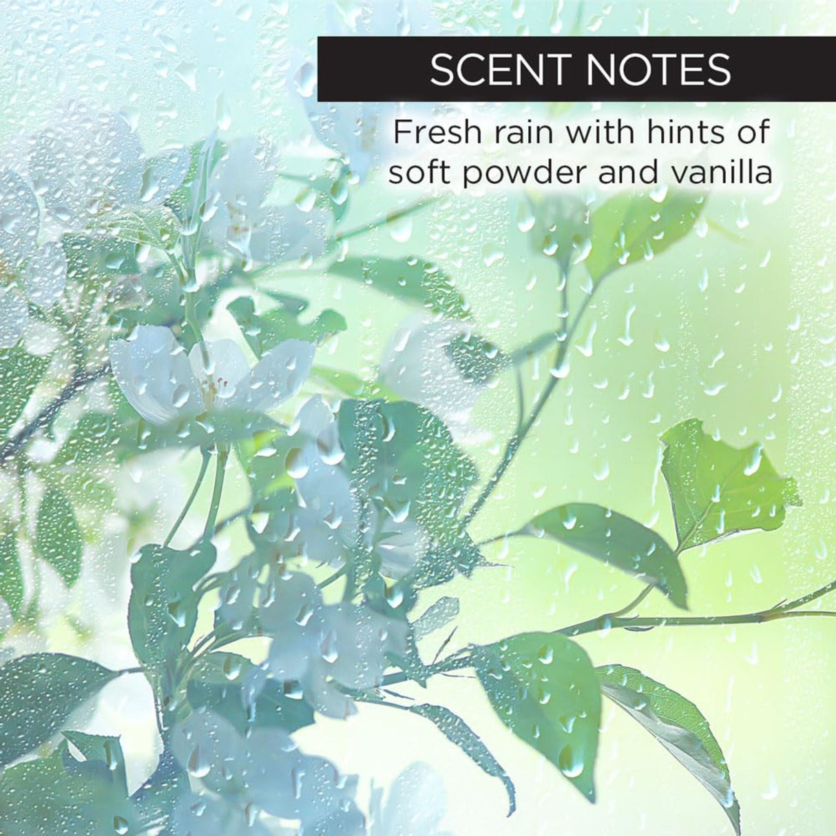 Whish Aluminum Free Deodorant with Hair Inhibitor-812280018053-LR-351187-2-LR eShop