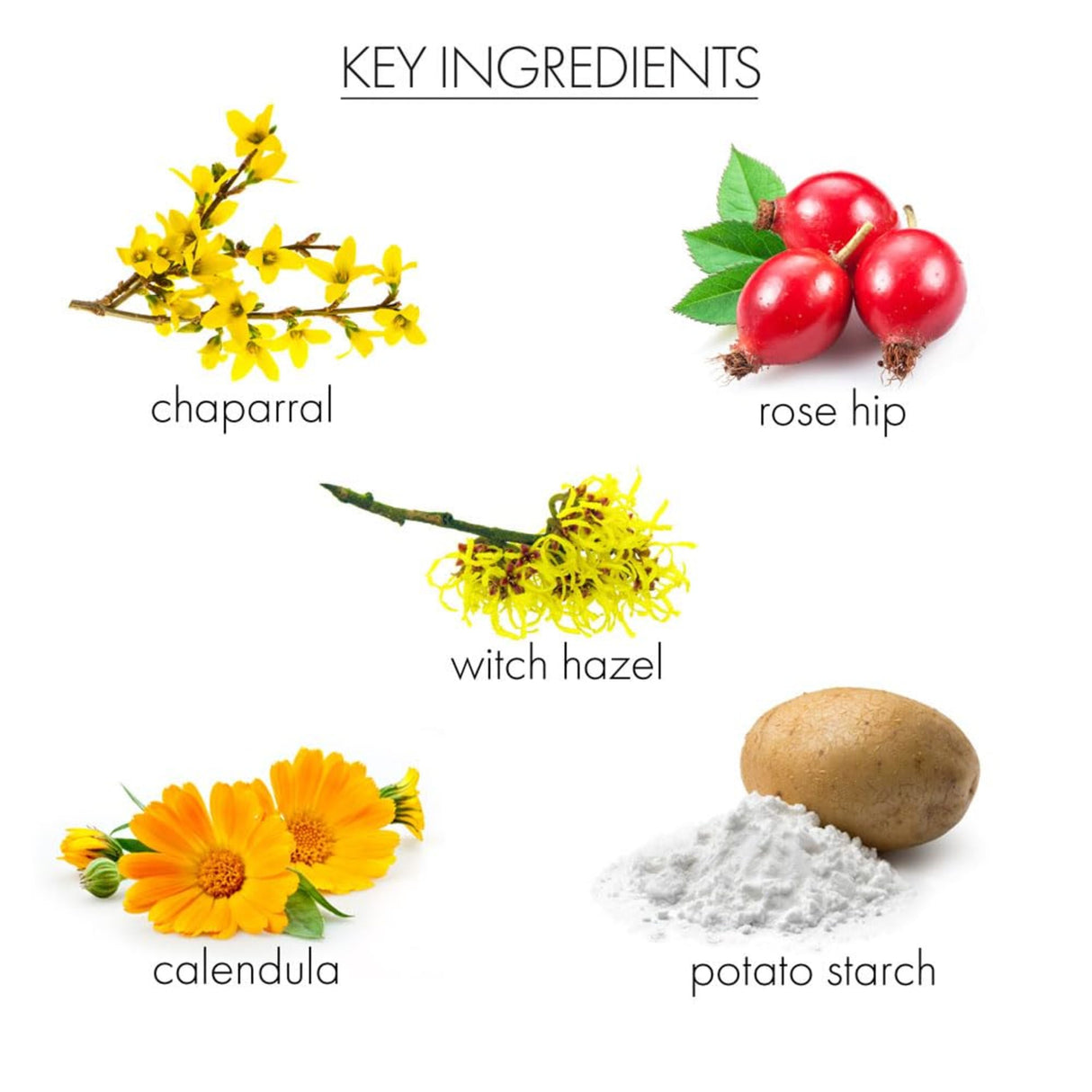 Whish Aluminum Free Deodorant with Hair Inhibitor-812280018053-LR-351187-3-LR eShop