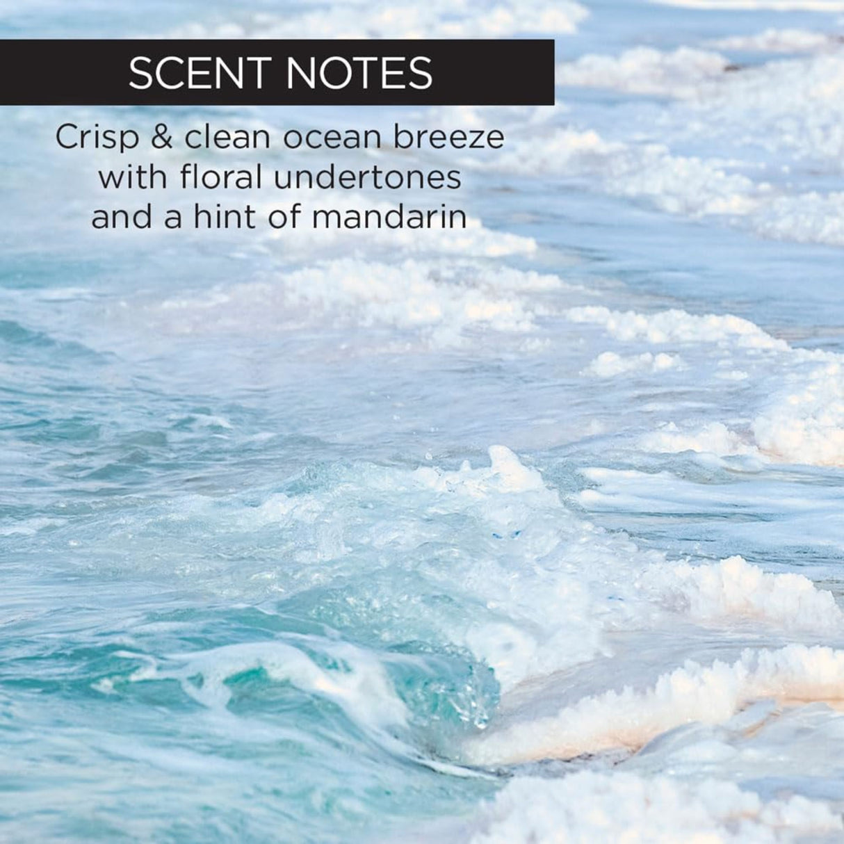 Whish Exfoliating Sugar Scrub, Kabosu Sea Salt-812280014338-LR-351205-5-LR eShop