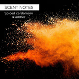 Whish Men - Fight Club Shaving Cream-812280019050-LR-351206-4-LR eShop