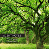 Whish Men - Golf Club Shaving Cream-812280019067-LR-351208-4-LR eShop