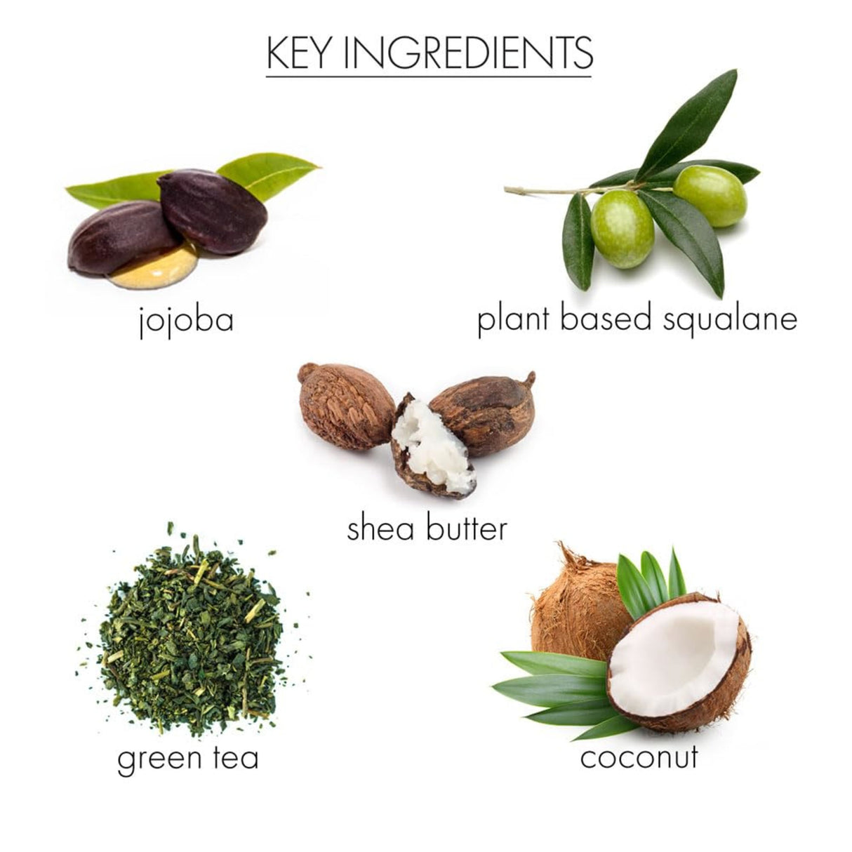 Whish Men - Yacht Club Shaving Cream-812280019074-LR-351210-5-LR eShop