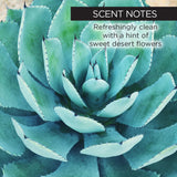 Whish Sun Kissed Agave Self Tanner, 5oz-812280018923-LR-355419-4-LR eShop