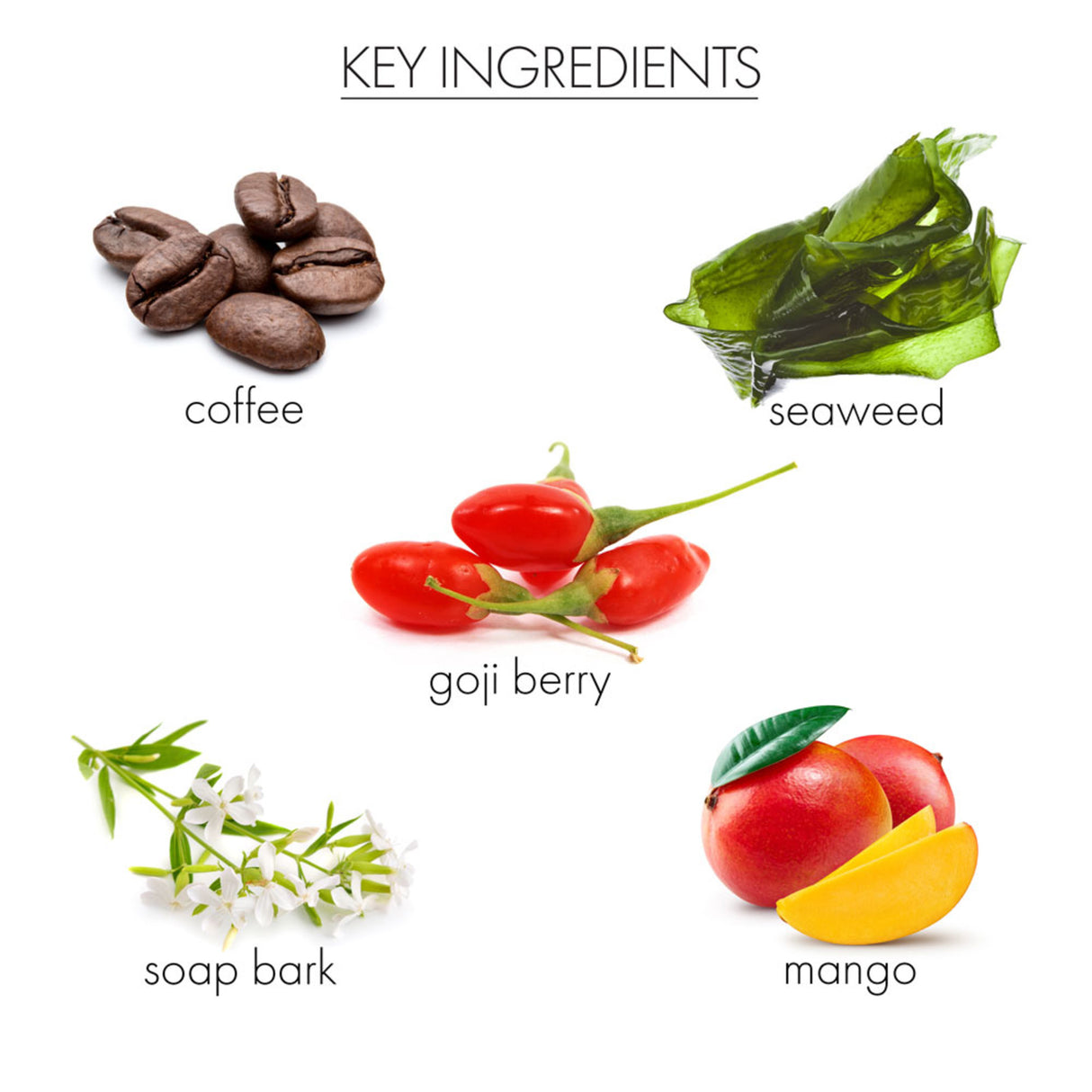 Whish Sun Kissed Agave Self Tanner, 5oz-812280018923-LR-355419-5-LR eShop