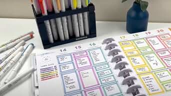 Zebra Pen Mildliner Dual-Tip Highlighter Set - Winter Solstice - 5pk-045888783256-LR-362598-11-LR eShop