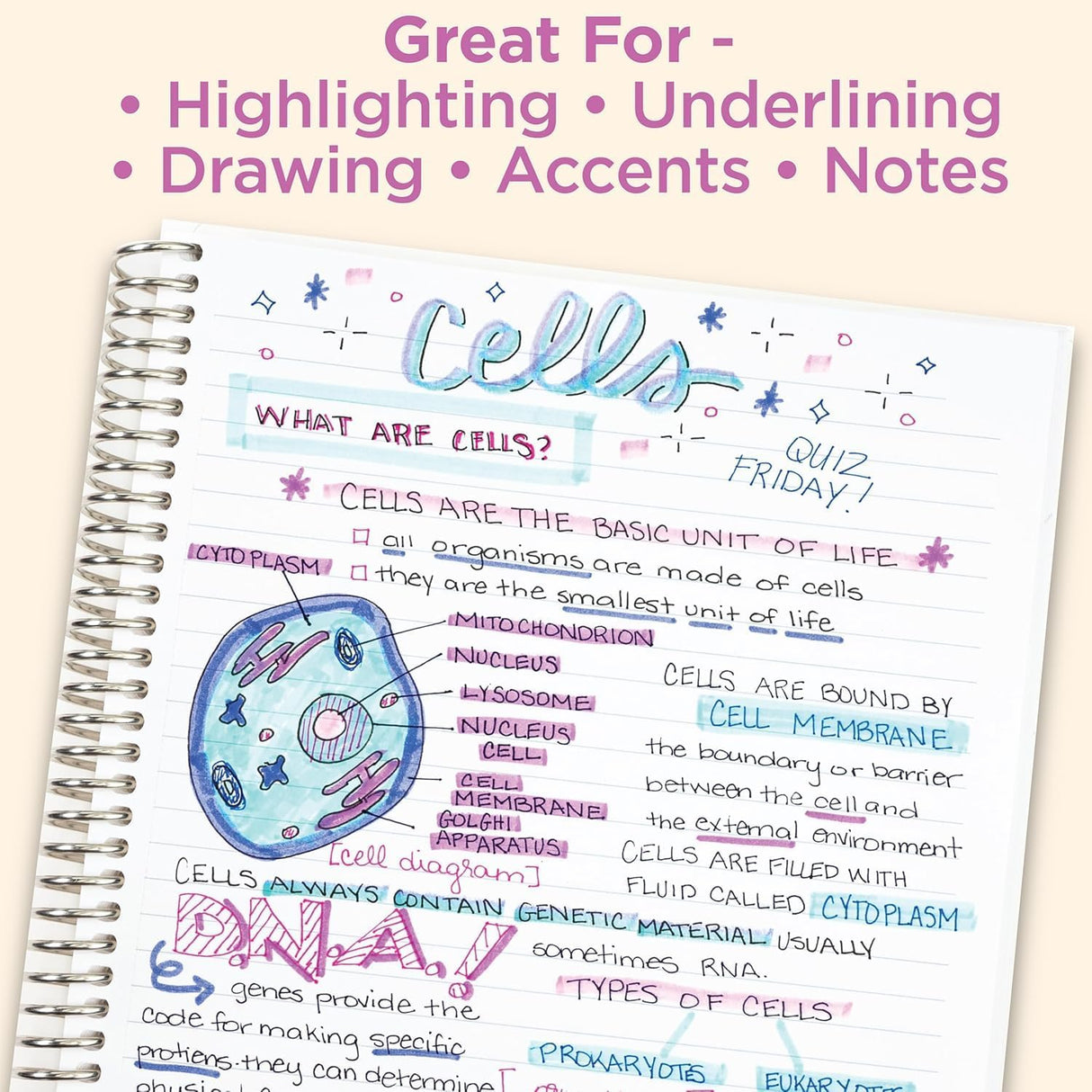 Zebra Pen Mildliner Dual-Tip Highlighter Set - Winter Solstice - 5pk-045888783256-LR-362598-6-LR eShop